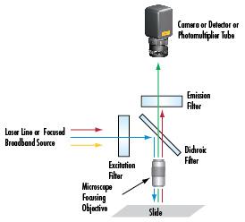 Giai photnics co. , ltd m.u960.cn