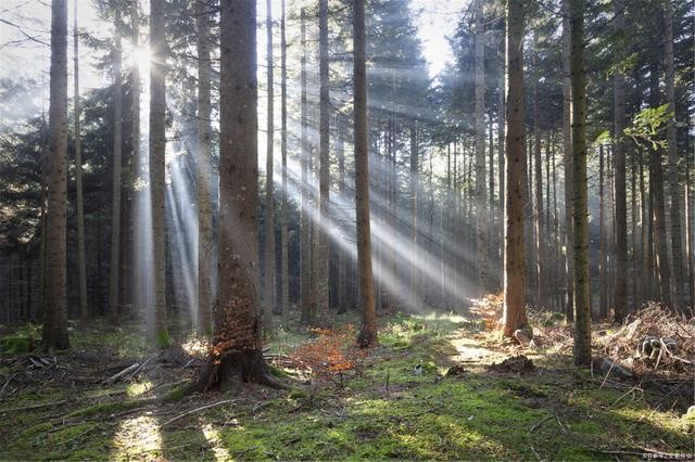 什么是負折射率？何為負折射率？