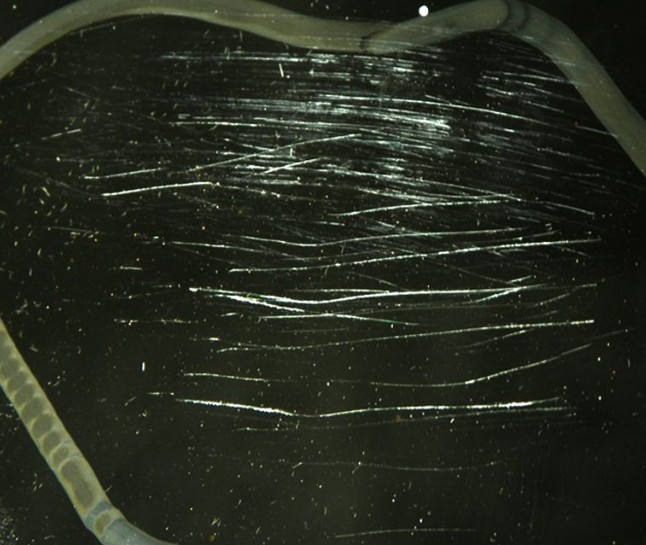 如何去掉透明有機(jī)玻璃制品的細(xì)小劃痕？