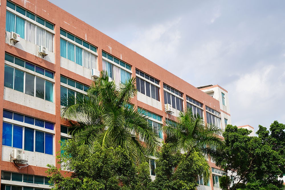 破冰夏日，聚力前行——員工趣味運動會全記錄