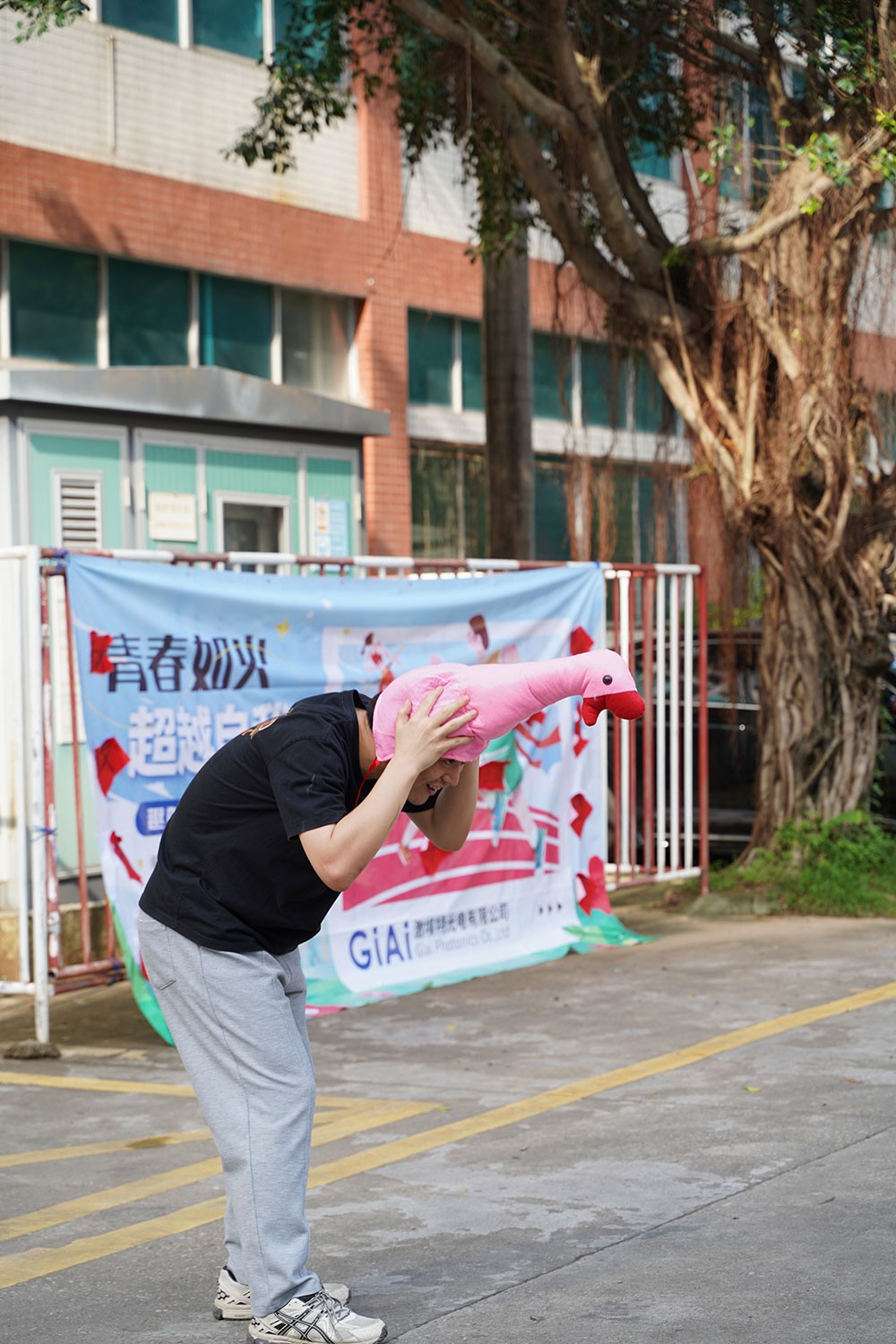 趣味活動套大鵝1