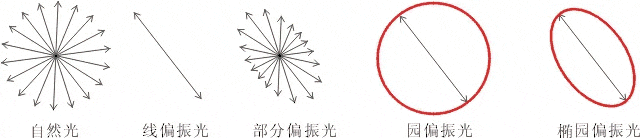 什么是偏振光？偏振光是如何完成檢測的？