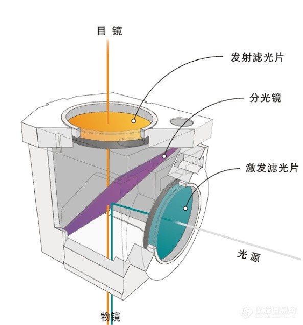 熒光顯微鏡常規(guī)光學元件應(yīng)用圖 熒光顯微鏡常規(guī)光學元件應(yīng)用圖