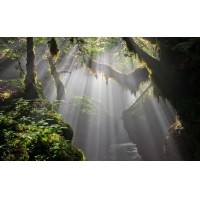 光的干涉、衍射、折射、反射、散射