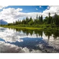 電磁波、紫外線和紅外線